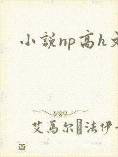 小说np高h文