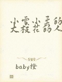 小雪小柔的两个大校花的人物介绍