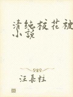 清纯校花被日常小说