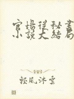 官场从秘书开始小说大结局封面