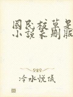 国民校草是女生小说未删版