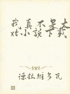 我真不是大佬txt小说下载