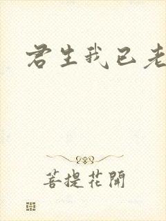 君生我已老诗句