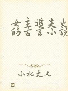 女主追夫火葬场的古言小说