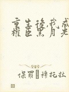 重生后,我成了权臣黑月光