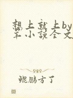 想上就上by迷羊小说全文免费阅读