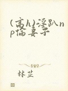(高h)淫趴np伦妻子封面