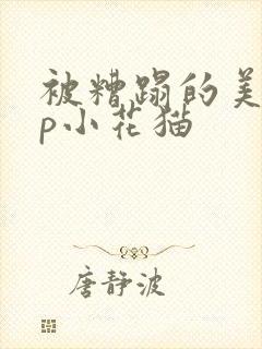 被糟蹋的美人np小花猫