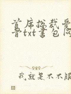 首席总裁爱你入骨txt书包网