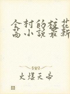 全村的校花叶茜茜小说最新章节