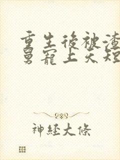 重生后被渣男舅舅宠上天短剧免费看