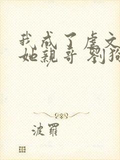 我成了虐文女主她亲哥 刘狗花封面