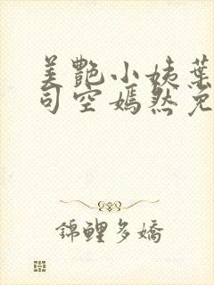 美艳小姨叶凡,司空嫣然免费阅读