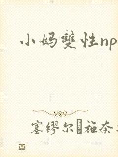 小妈双性np文