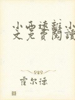 小西远离小说全文免费阅读