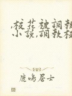 ,校花被调教h小说,调教校花为奴