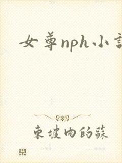 女尊nph小说封面