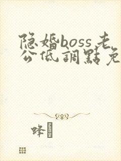 隐婚boss老公低调点免费阅读