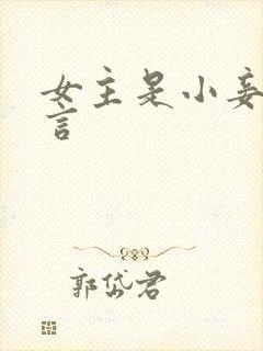 女主是小妾的古言