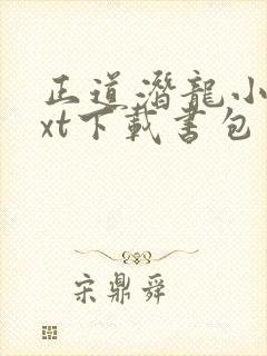 正道潜龙小说txt下载书包网