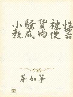 小骚货被性虐调教成肉便器小说