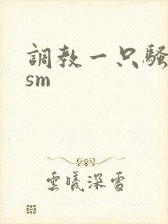 调教一只骚母狗sm封面