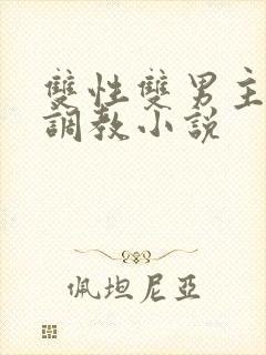 双性双男主道具调教小说封面