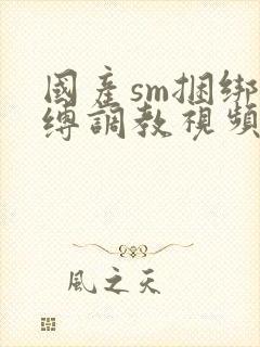 国产sm捆绑束缚调教视频