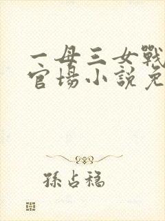 一母三女战一婿官场小说免费阅读封面