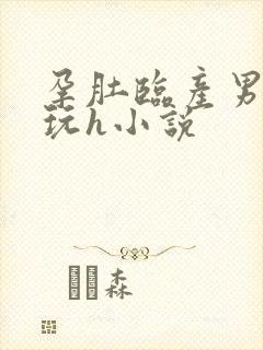 孕肚临产男人们玩h小说封面