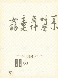 女主角叫夏星辰的是什么小说