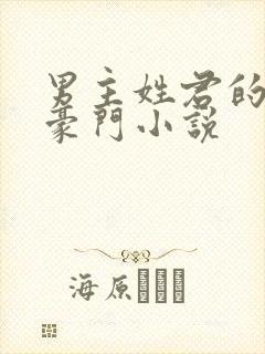 男主姓君的现代豪门小说