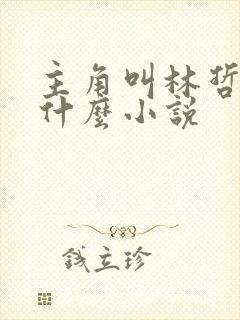 主角叫林哲的是什么小说