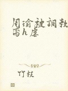 周瑜被调教成禁脔h虐