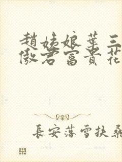 赵姨娘叶三少沈傲君富贵花