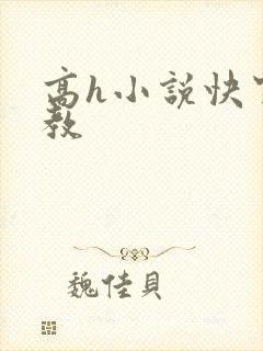 高h小说快穿调教