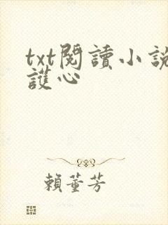 txt阅读小说护心封面