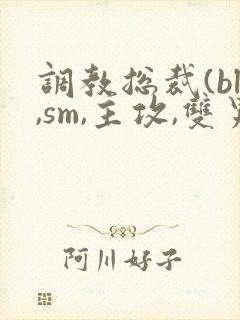 调教总裁(bl,sm,主攻,双男)