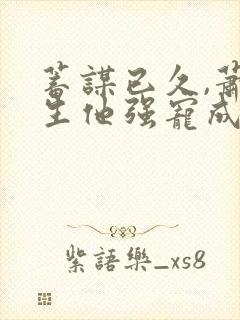 蓄谋已久,萧先生他强宠成瘾