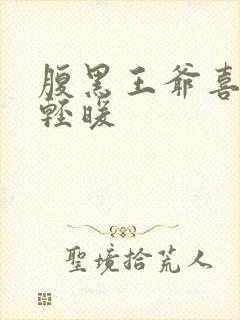 腹黑王爷喜当爹轻暖