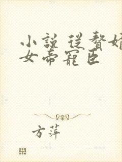 小说 从赘婿到女帝宠臣