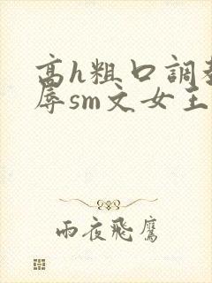 高h粗口调教羞辱sm文女王