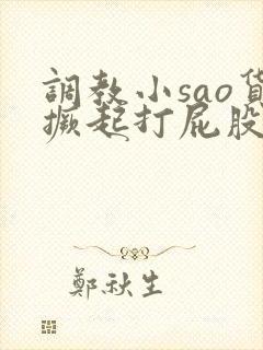 调教小sao货撅起打屁股小说封面