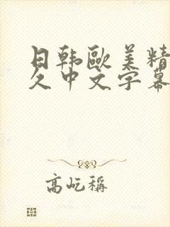 日韩欧美精品久久中文字幕封面