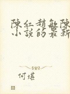 陈红赵敏陈法蓉小说的最新章节内容封面