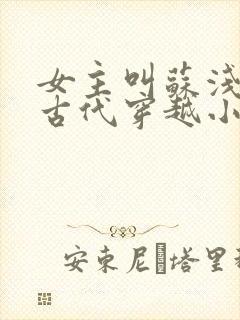 女主叫苏浅浅的古代穿越小说封面