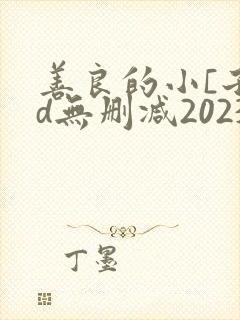 善良的小[子hd无删减2023