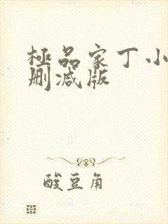 极品家丁小说无删减版