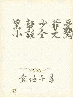 黑帮少爷爱上我小说全文阅读