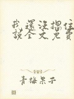 我还没摁住她小说全文免费阅读无弹窗封面